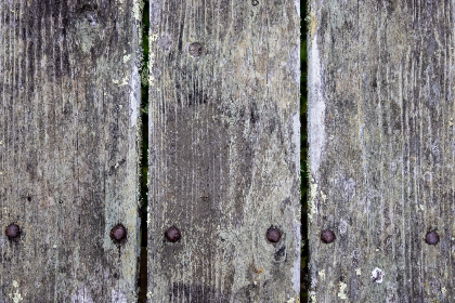 唐诗宋词日韩 唐诗宋词日韩