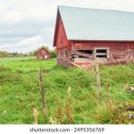 唐诗宋词大全 mpiopf